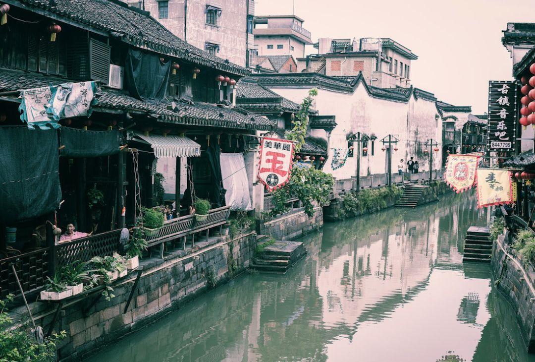 外面好多人嘲笑我,我都不敢出去了?——专业问答类网站